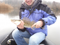 Фото силіконової приманки Bugsy. Відгук про приманку Bugsy фото № 4