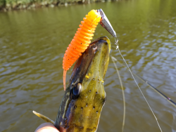 Фото силіконової приманки Tanta. Відгук про приманку Tanta фото № 3