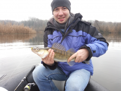 Фото силіконової приманки Bugsy. Відгук про приманку Bugsy фото № 1