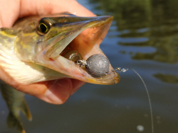 Фото силіконової приманки Tanta. Відгук про приманку Tanta фото № 4